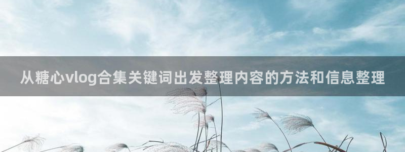 糖心vlog下载