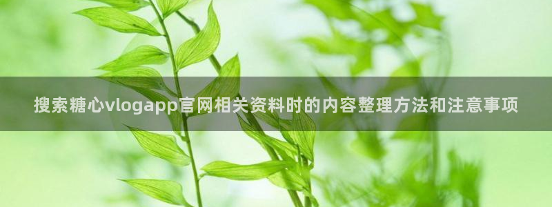糖心vlog破解免费版：搜索糖心vlogapp官网相关资料时的内容整理方法和注意事项