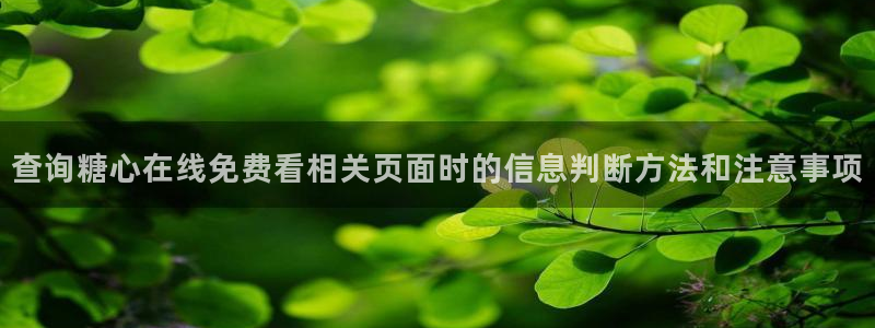 糖心vlog视频在线观看