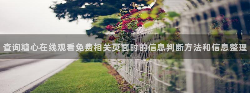 91糖心视频