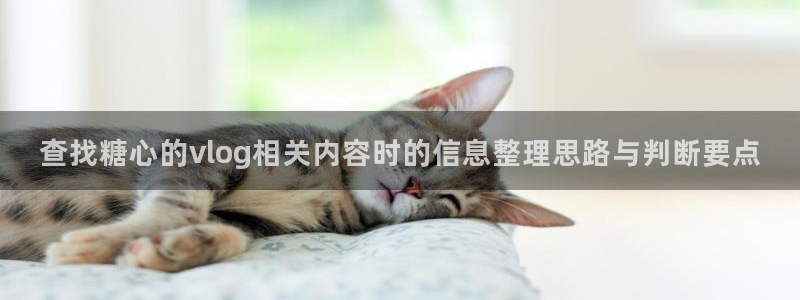 糖心vlog官网版下载：查找糖心的vlog相关内容时的信息整理思路与判断要点