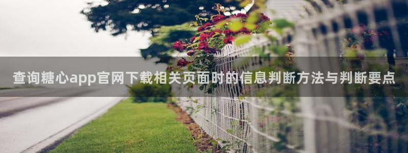 糖心在线观看免费:查询糖心app官网下载相关页面时的信息判断方法与判断要点